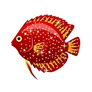 Red Glitz Discus